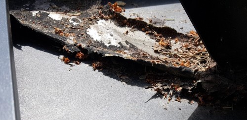 20200516_151855 (2)-min (1).jpg