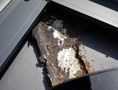 20200516_151953 (2)-min.jpg