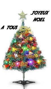 sapin.jpg