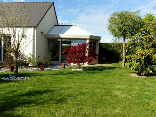 100_0161 (Large).JPG